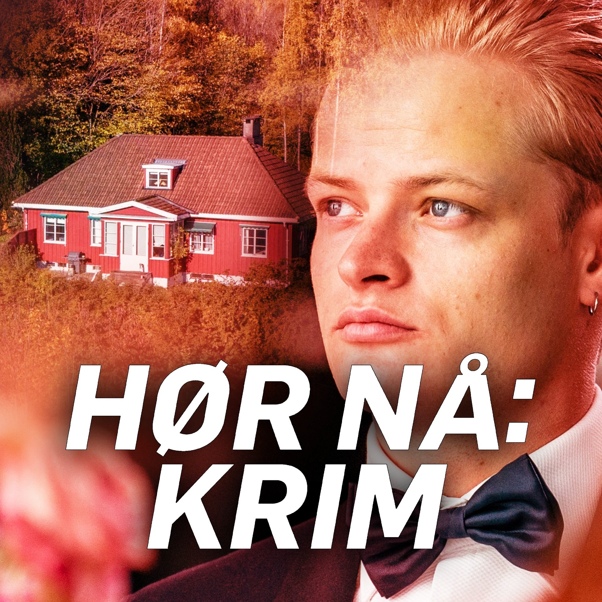 Derfor vil de gi Høiby fotlenke på Skaugum: - Et kompromiss episode artwork