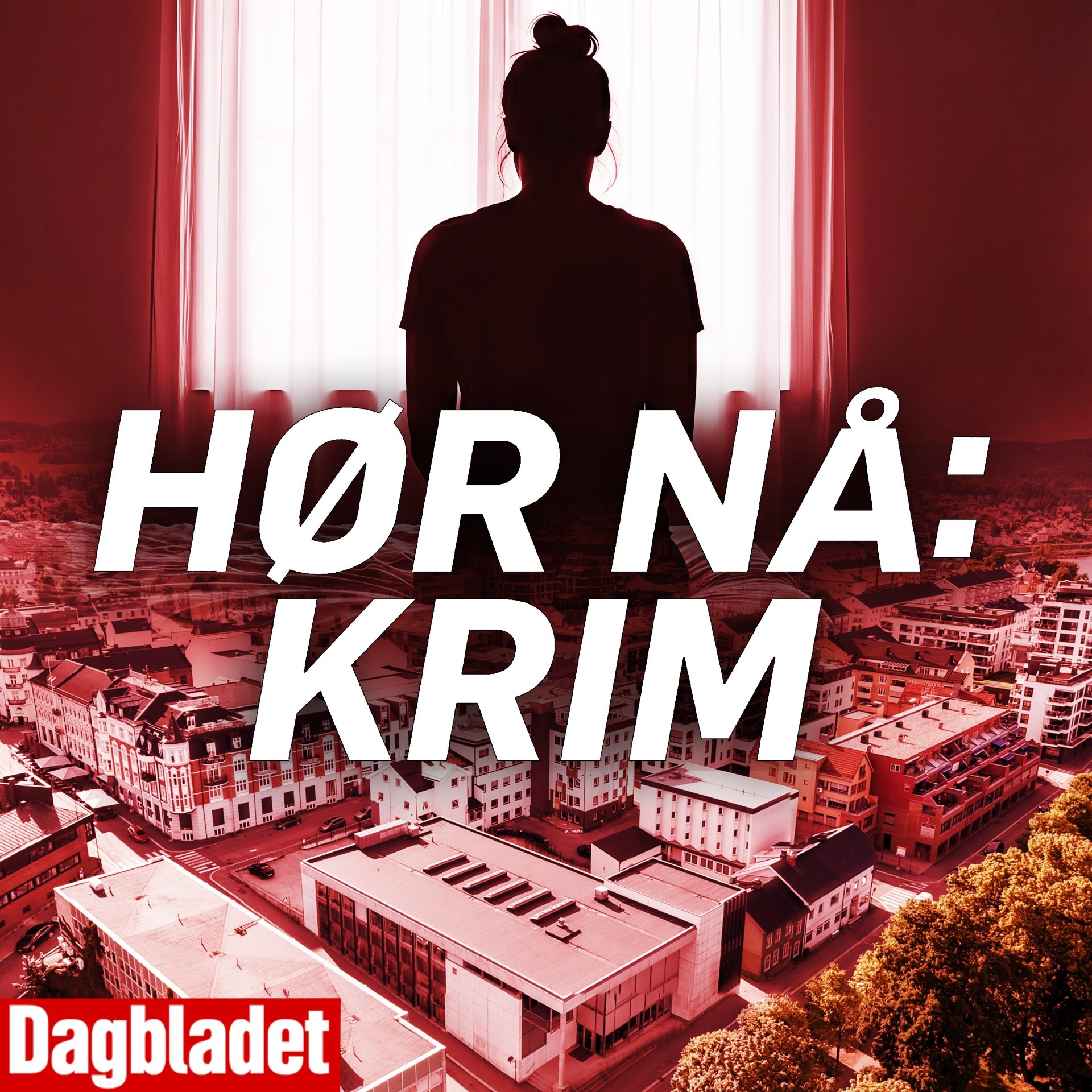 Mener han voldtok kona over 1000 ganger episode artwork
